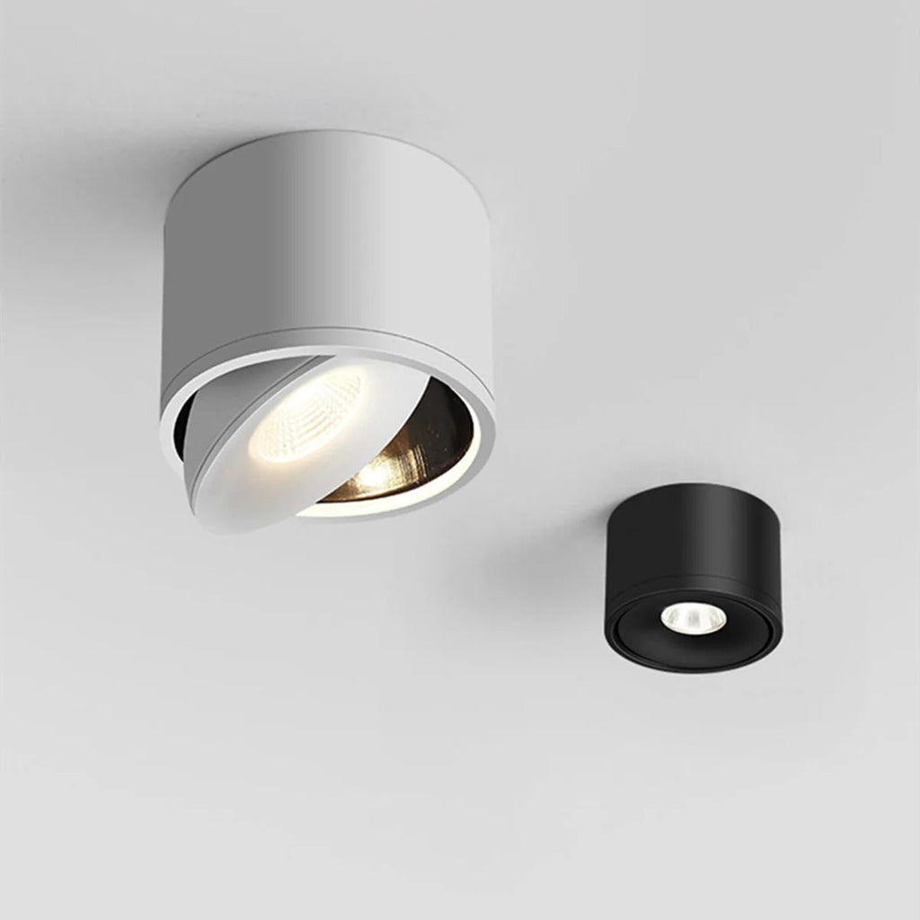 Ceiling Light with Adjustable Directional Spotlight and Rotatable LED Head - Image 1