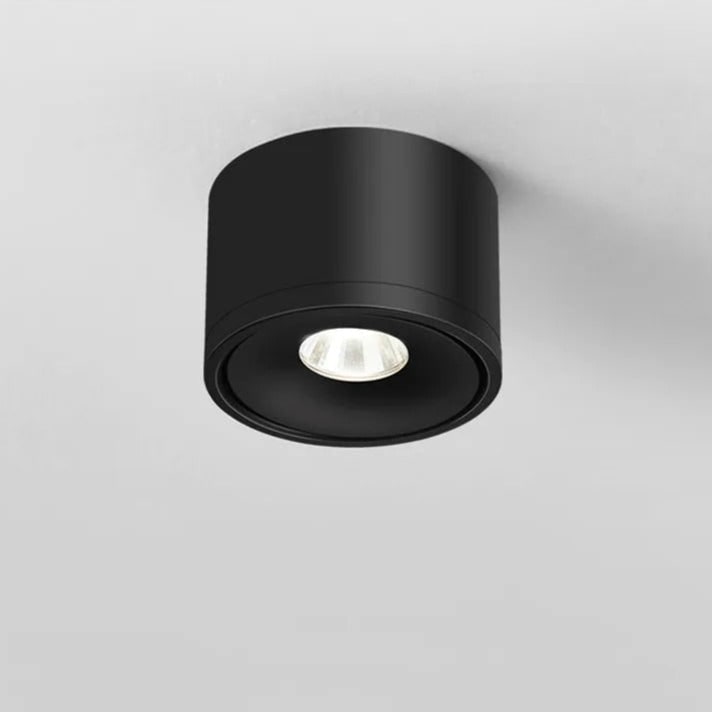 Ceiling Light with Adjustable Directional Spotlight and Rotatable LED Head - Image 6