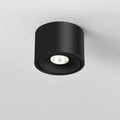 Ceiling Light with Adjustable Directional Spotlight and Rotatable LED Head - Image 6