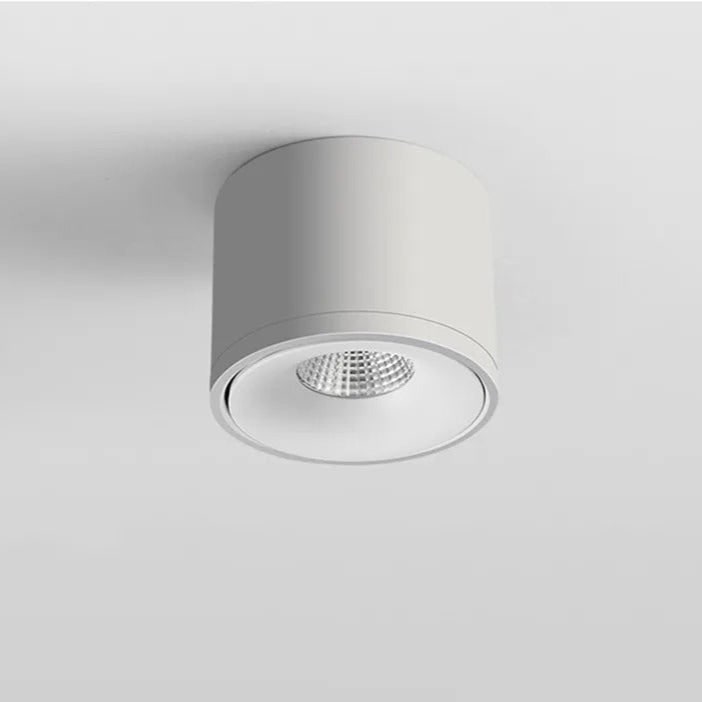 Ceiling Light with Adjustable Directional Spotlight and Rotatable LED Head - Image 7