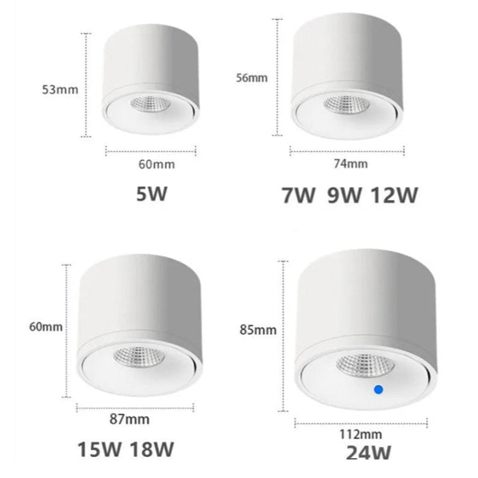 Ceiling Light with Adjustable Directional Spotlight and Rotatable LED Head - Image 9