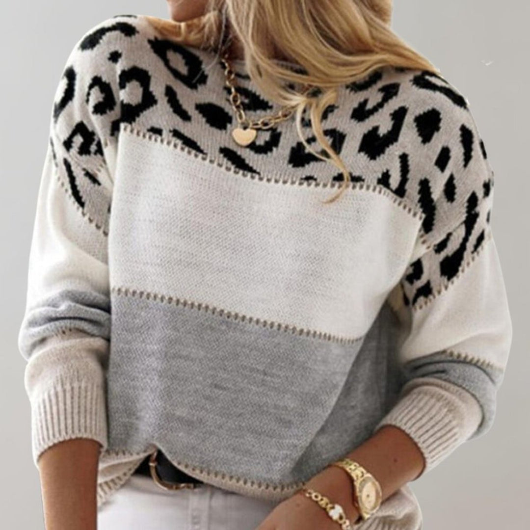 Women's Leopard Print Colourblock Jumper