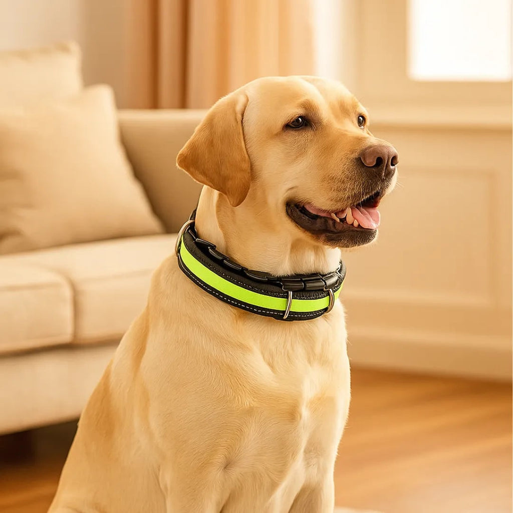 Dog Prong Collar with Reflective Cover and Quick-Release Buckle for Training - Image 2