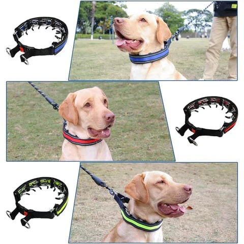 Dog Prong Collar with Reflective Cover and Quick-Release Buckle for Training - Image 3