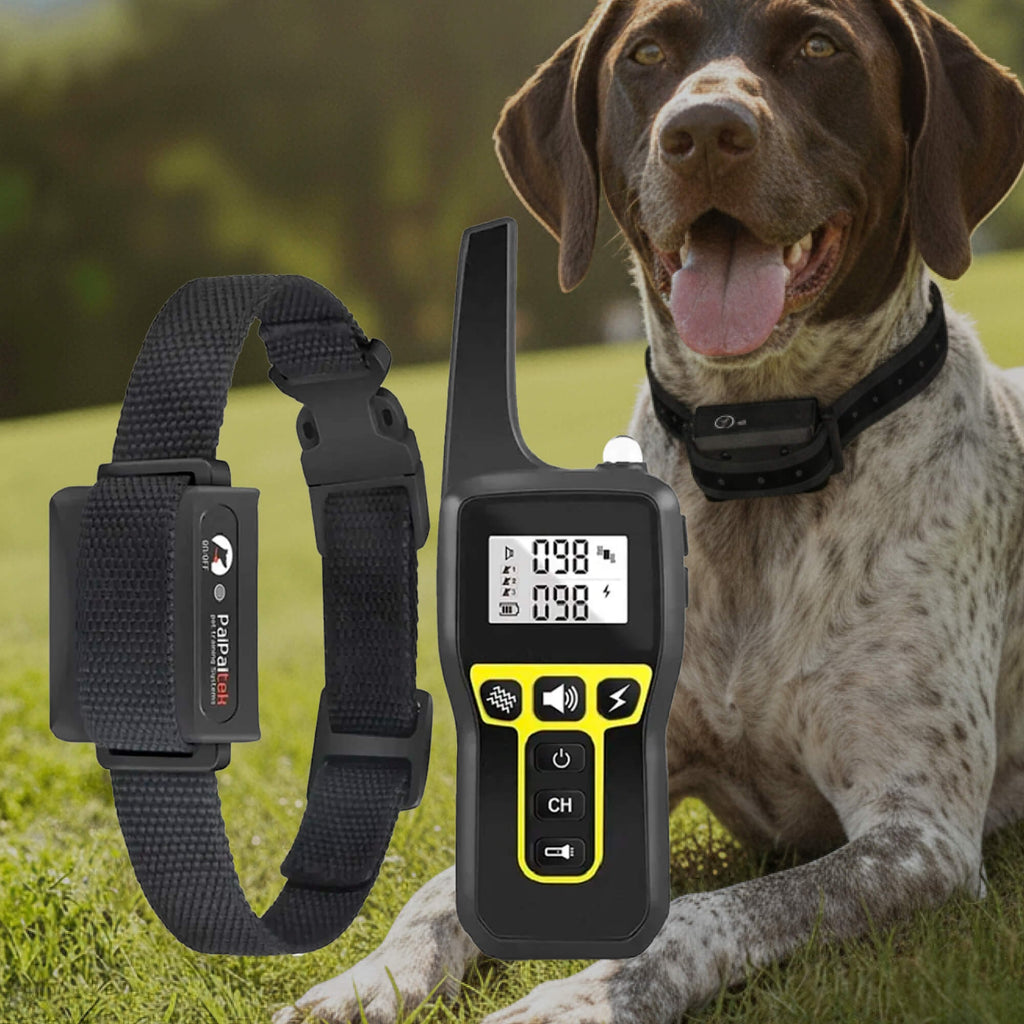Dog Training Collar with Remote Control and Waterproof Receiver Unit - Image 12