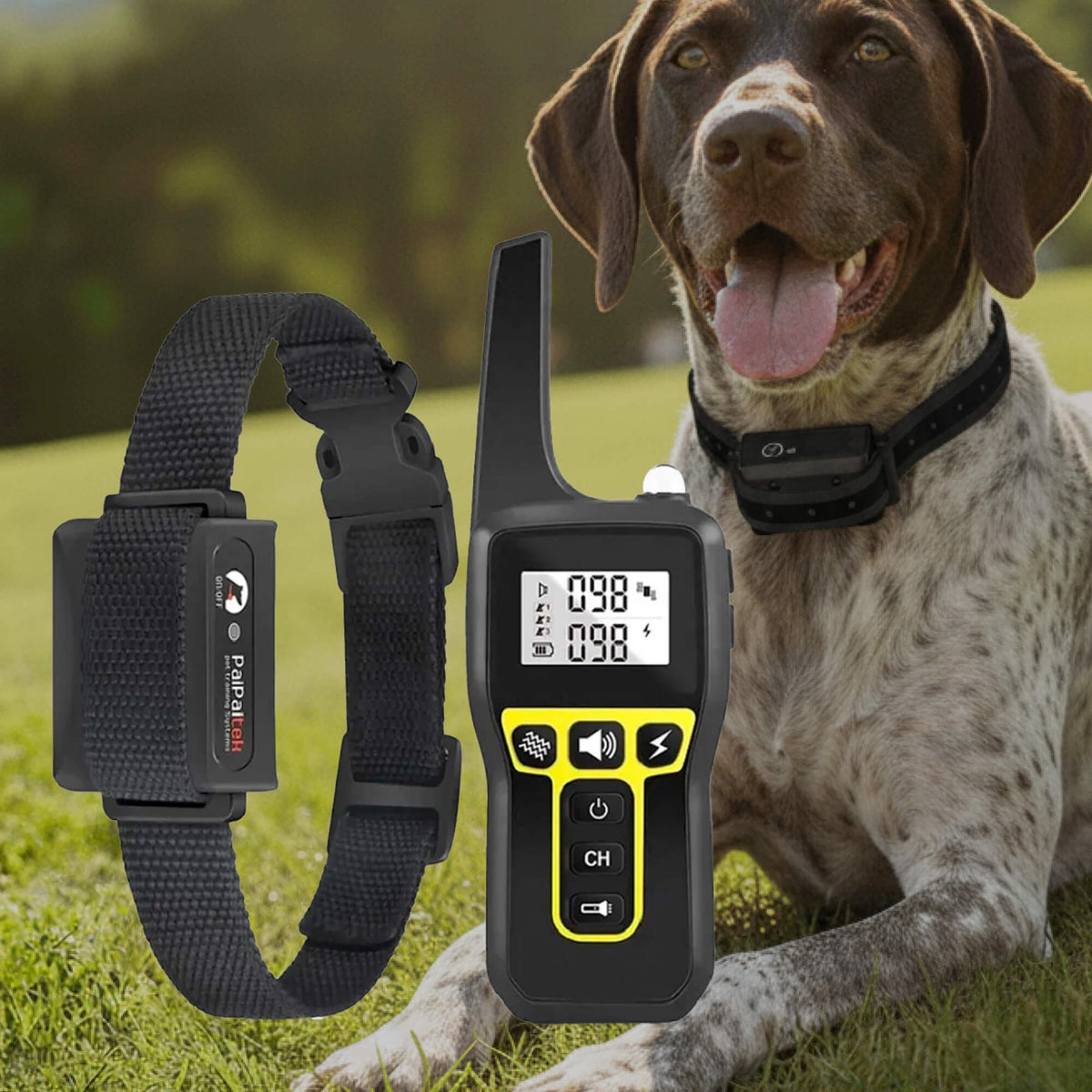 Dog Training Collar with Remote Control and Waterproof Receiver Unit - Image 12