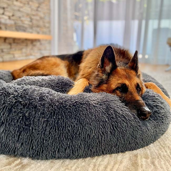 Donut Dog Bed with Plush Faux Fur Raised Rim and Calming Nest Design - Image 1