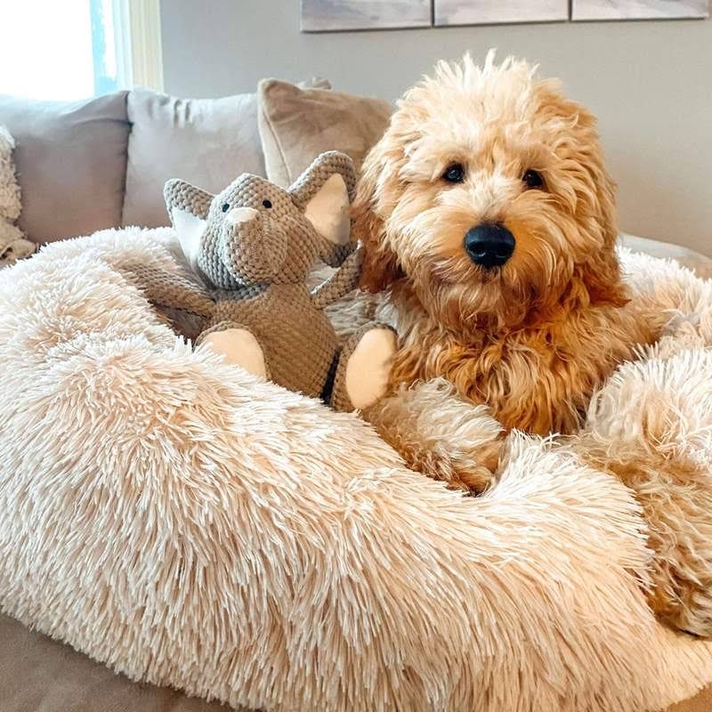 Donut Dog Bed with Plush Faux Fur Raised Rim and Calming Nest Design - Image 11