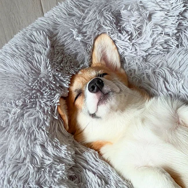 Donut Dog Bed with Plush Faux Fur Raised Rim and Calming Nest Design - Image 3