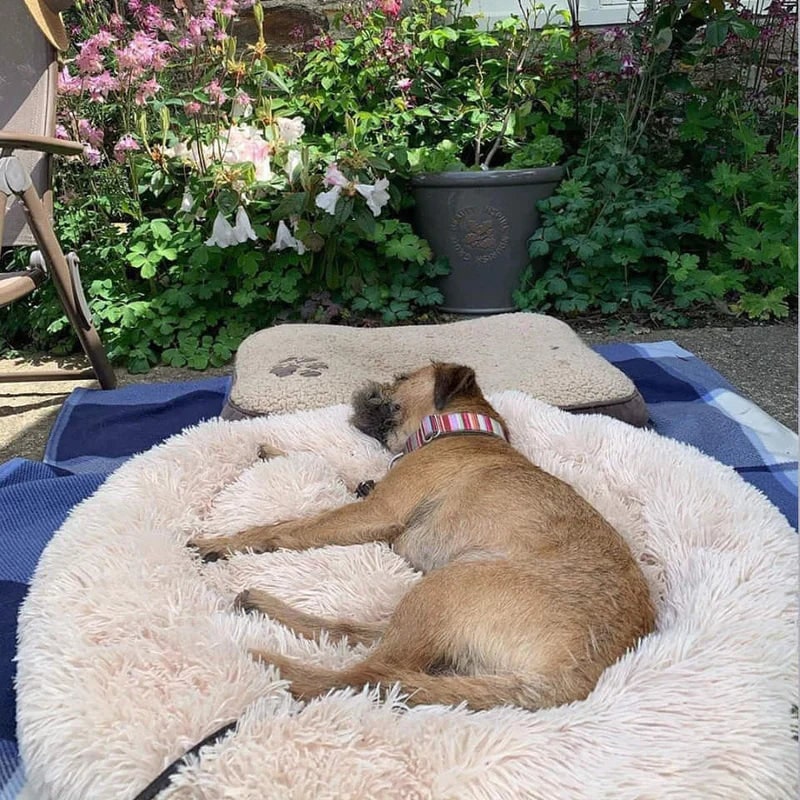Donut Dog Bed with Plush Faux Fur Raised Rim and Calming Nest Design - Image 8