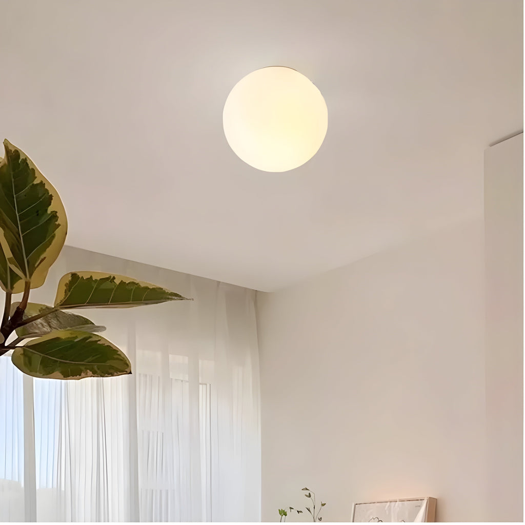 Flush Mount Globe Wall Sconce with Frosted Glass and Minimalist Design - Image 6