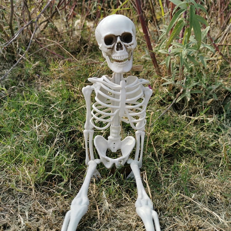 Posable Halloween Skeleton Decoration with Articulated Joints and Realistic Bone-White Finish - Image 1