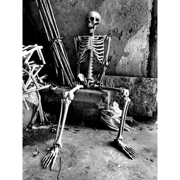 Posable Halloween Skeleton Decoration with Articulated Joints and Realistic Bone-White Finish - Image 4