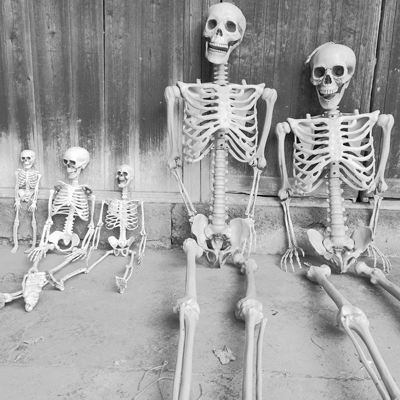 Posable Halloween Skeleton Decoration with Articulated Joints and Realistic Bone-White Finish - Image 5