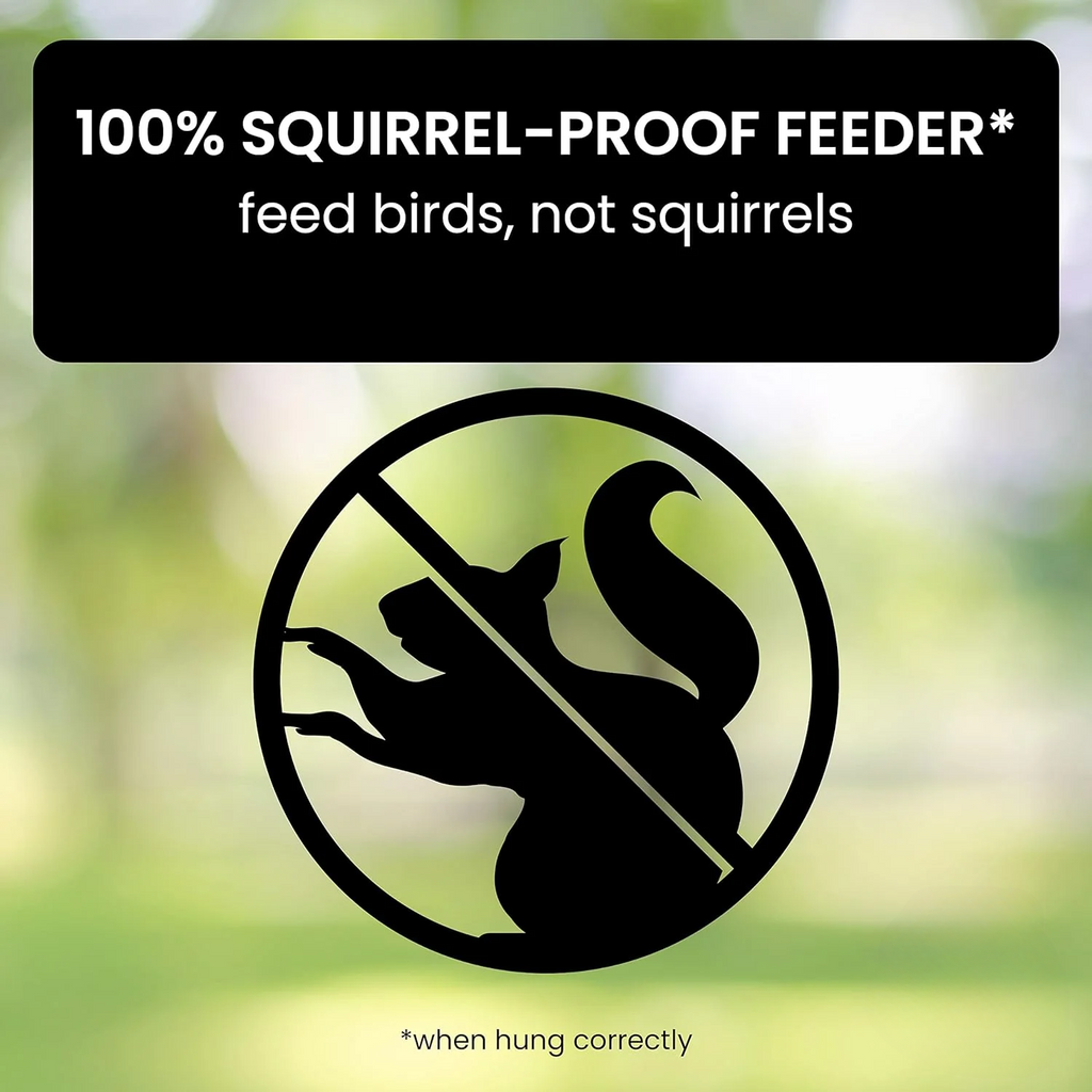 Tube Bird Feeder with Weight Activated Spinning Perch and Squirrel Proof Guard - Image 2