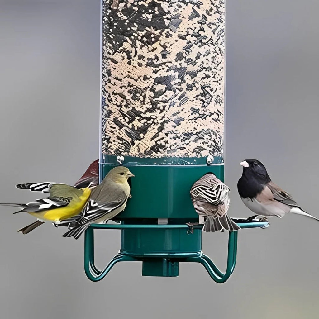 Tube Bird Feeder with Weight Activated Spinning Perch and Squirrel Proof Guard - Image 5