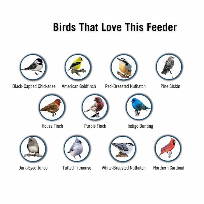 Tube Bird Feeder with Weight Activated Spinning Perch and Squirrel Proof Guard - Image 6