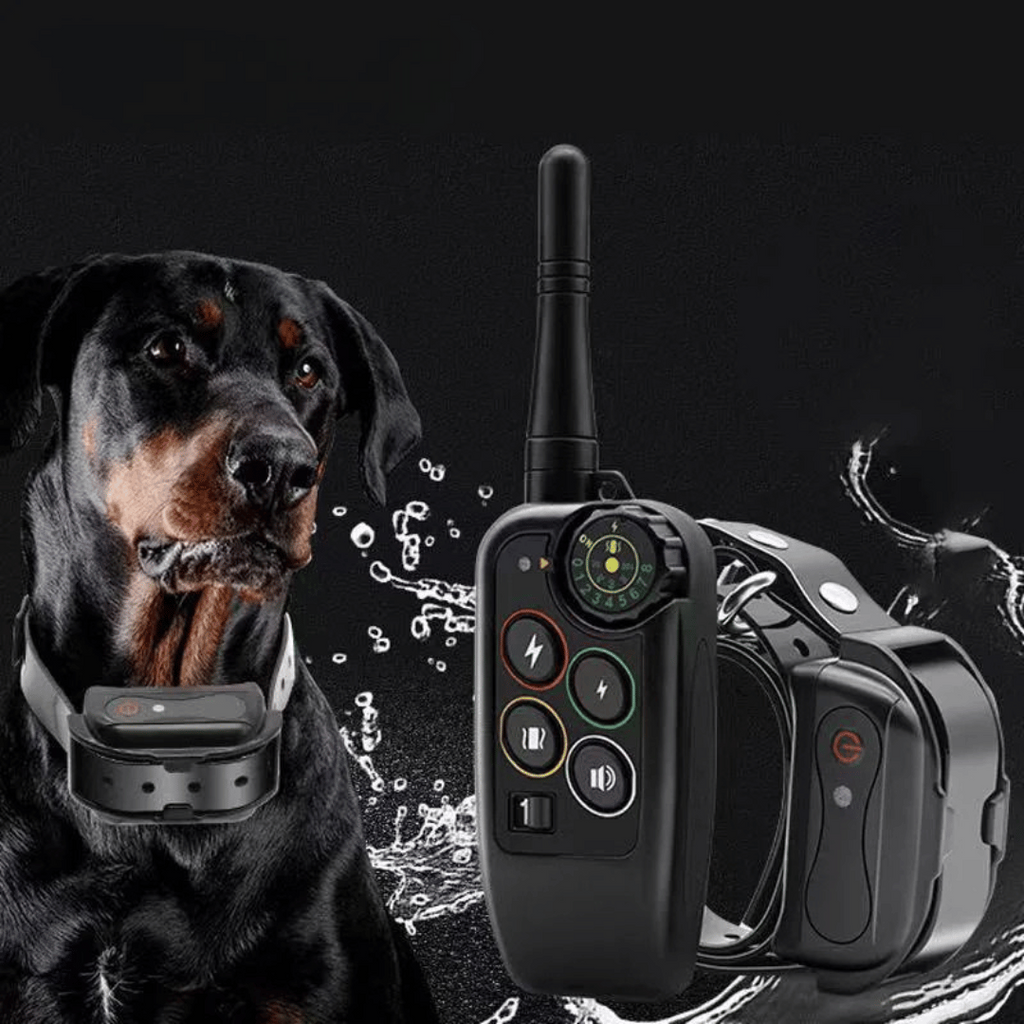 Waterproof Dog Training Collar with Remote Control and Vibration Receiver - Image 2