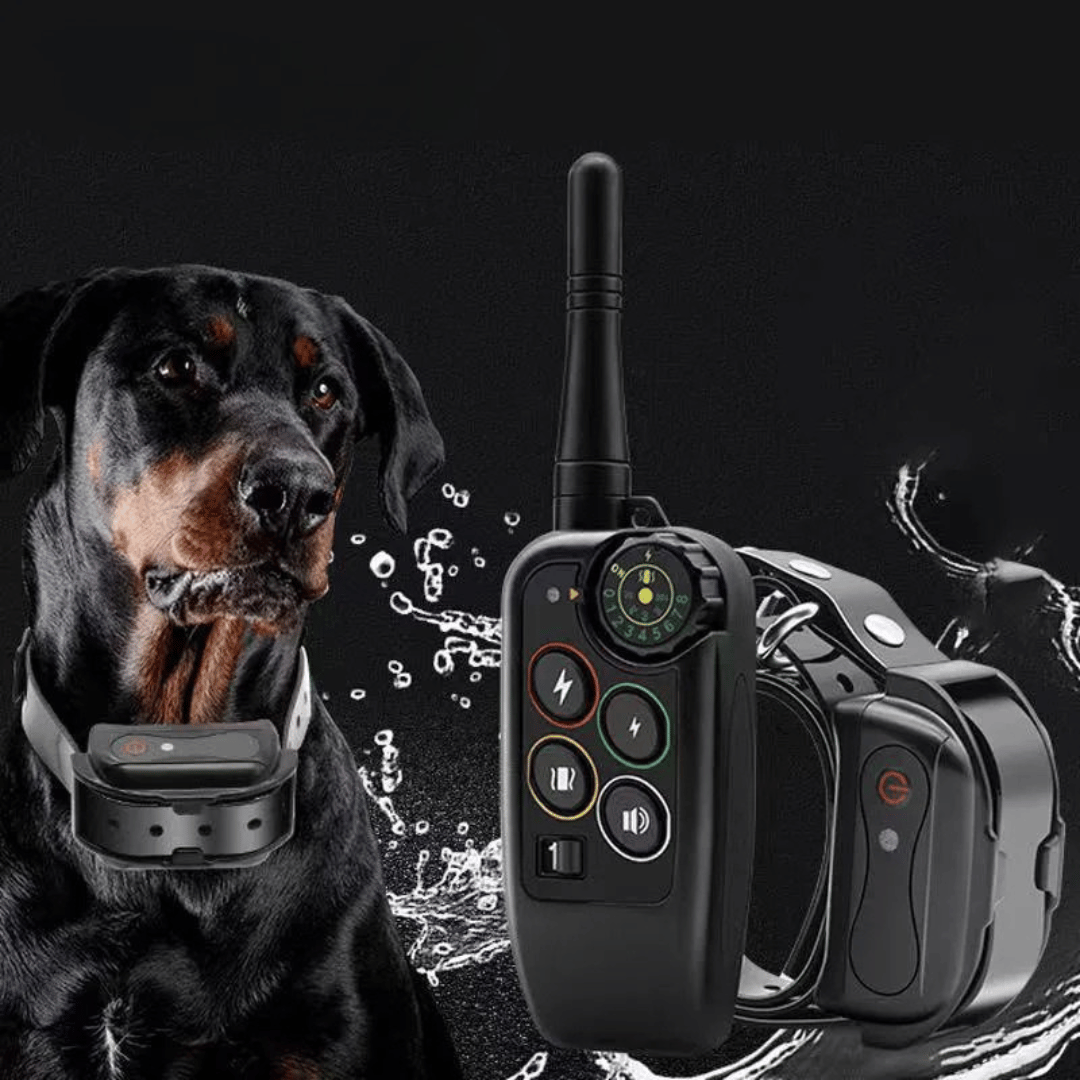 Waterproof Dog Training Collar with Remote Control and Vibration Receiver - Image 2