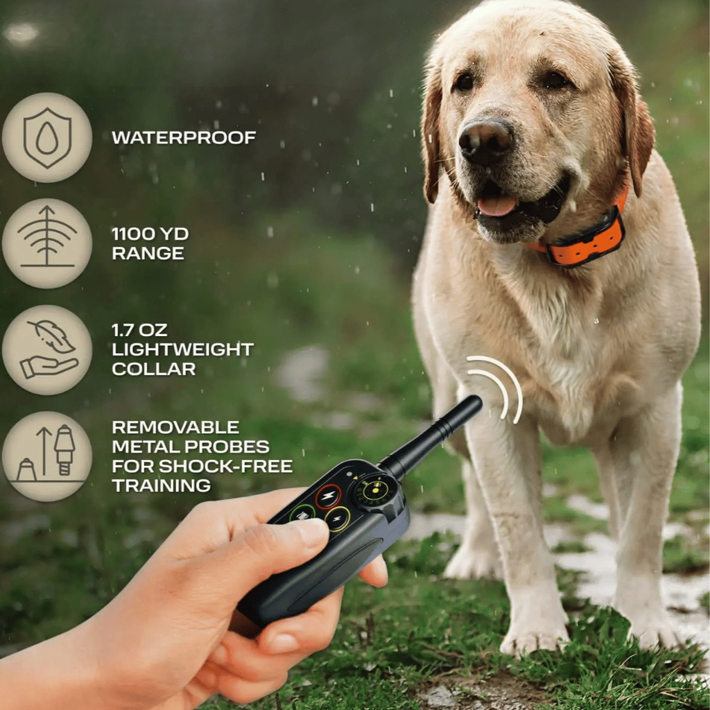 Waterproof Dog Training Collar with Remote Control and Vibration Receiver - Image 5