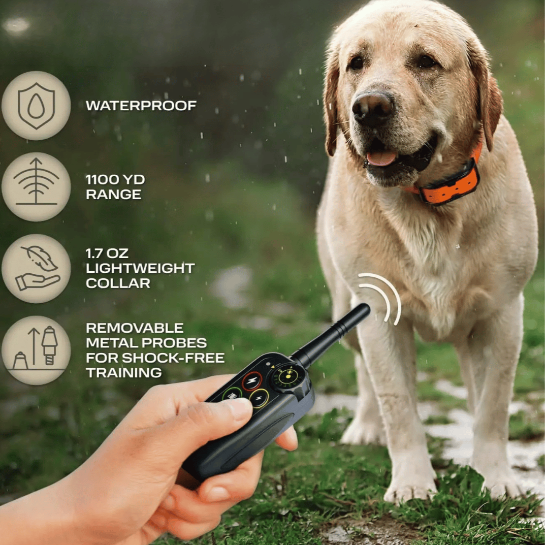 Waterproof Dog Training Collar with Remote Control and Vibration Receiver - Image 5